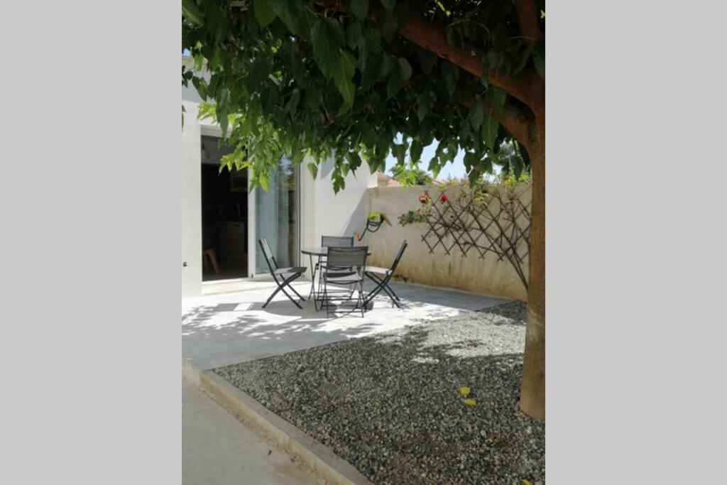 Charmant Appartement Avec Terrasse Pont-de-lʼIsère エクステリア 写真